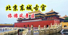 内射呲水中国北京-东城古宫旅游风景区